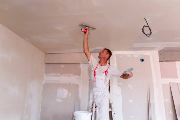 Best Acoustic or Soundproof Drywall Installation  in USA